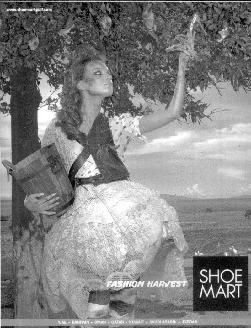 AGSA Brochure 12 - Page no 43