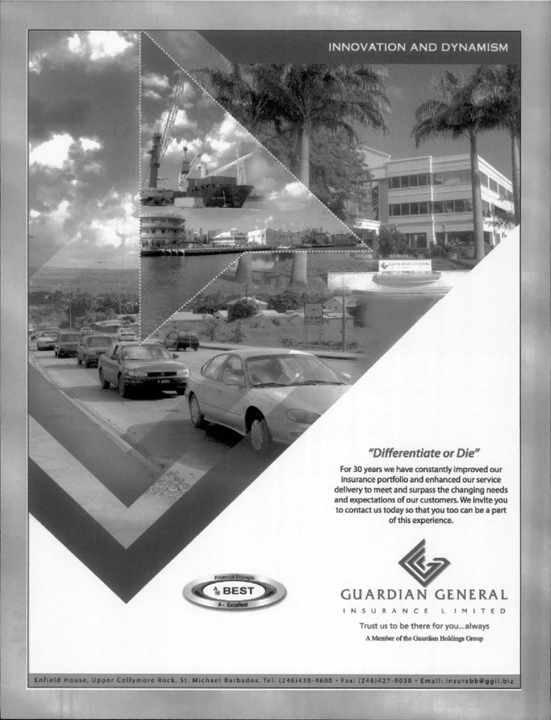 AGSA Brochure 15 - Page no 8