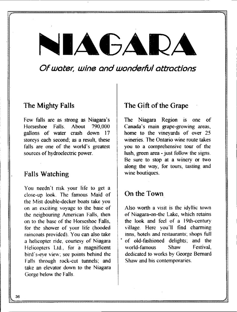 AGSA Brochure 4 - Page no 38