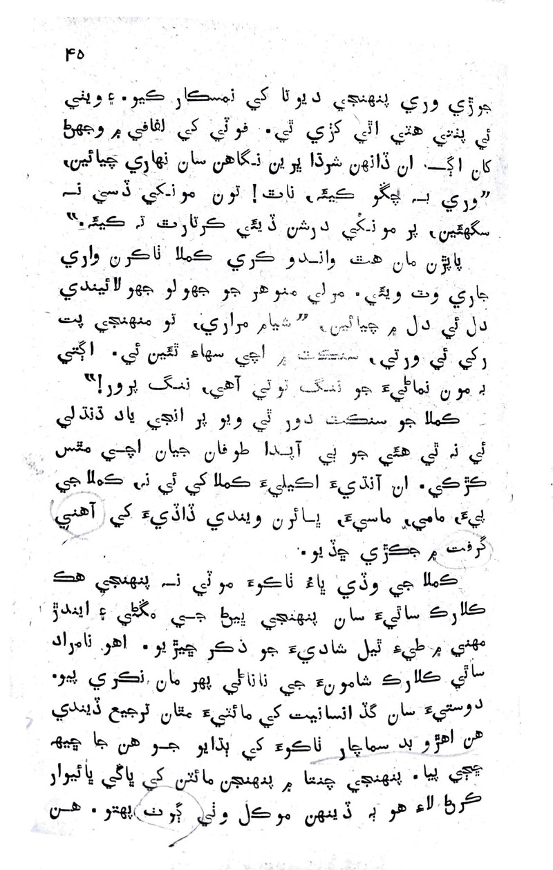 Lok Aahe Bok - Page no 41