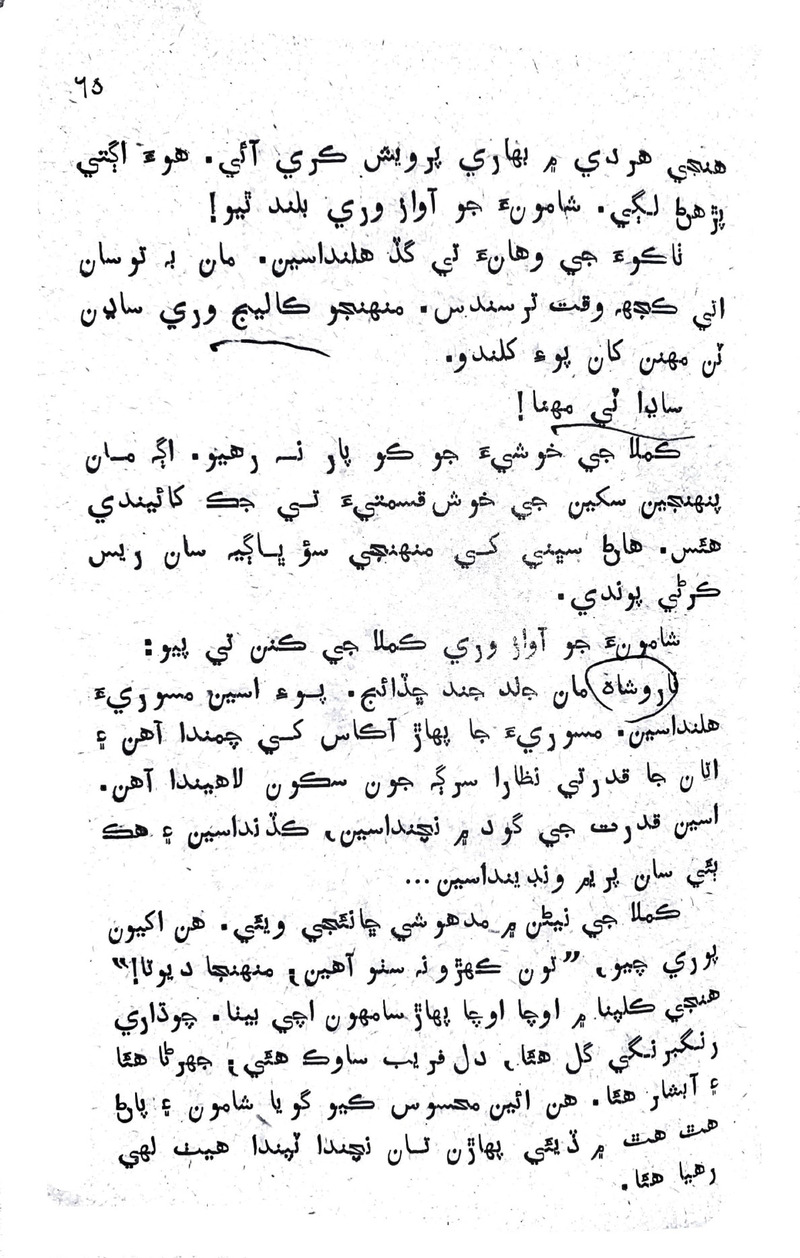 Lok Aahe Bok - Page no 63