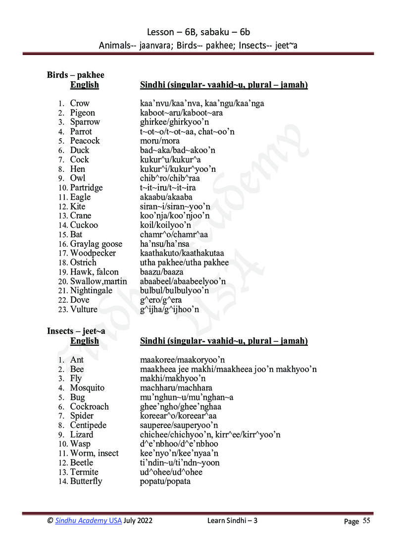 Romanized Sindhi Workbook - Page no 58