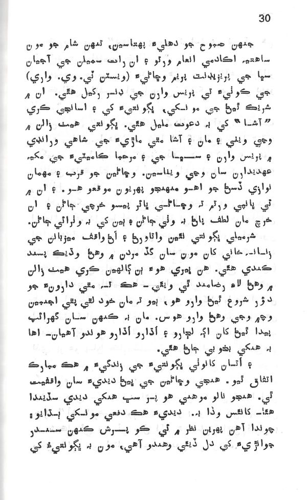 Yadgiryoon - Page no 30